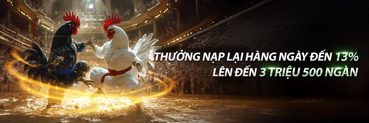 Giới thiệu về 365ball win - Nền tảng cá cược thể thao và sòng bạc trực tuyến hàng đầu Việt Nam