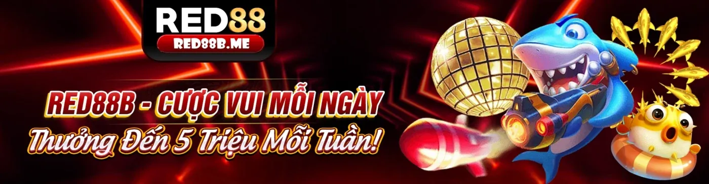 Quyền lợi GDPR của người chơi 365ball win