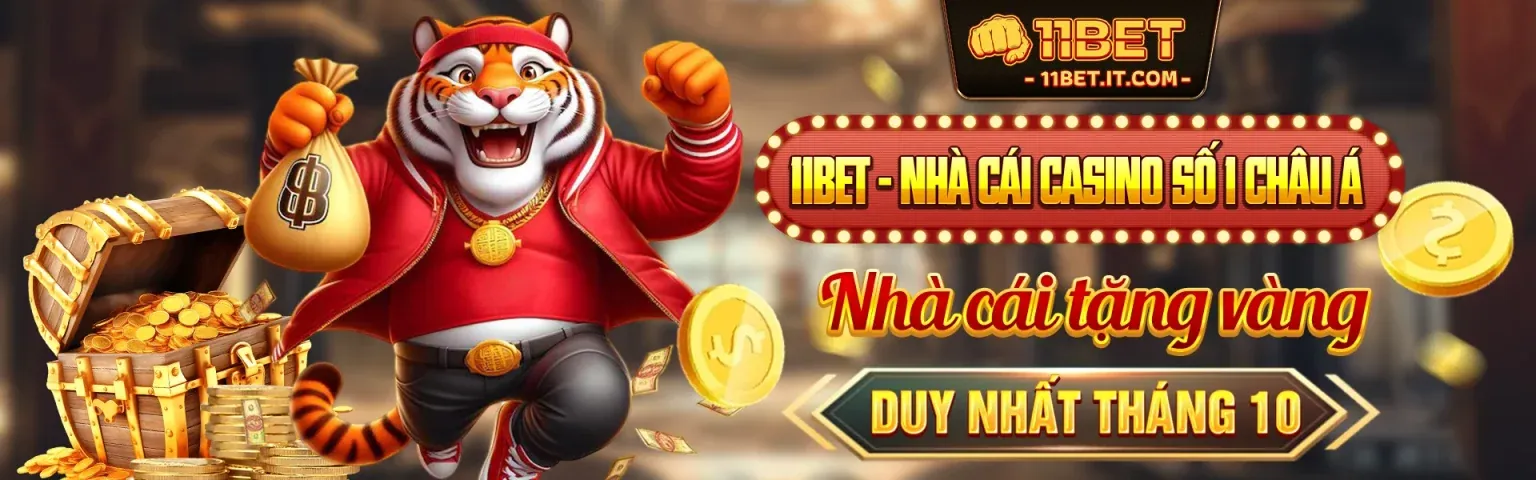 Banner chính của blog 365ball win, thể hiện đa dạng cá cược thể thao và giải trí trực tuyến