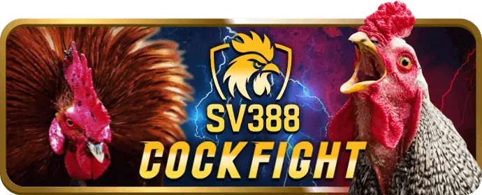 Đá gà cựa sắt tại 365ball win